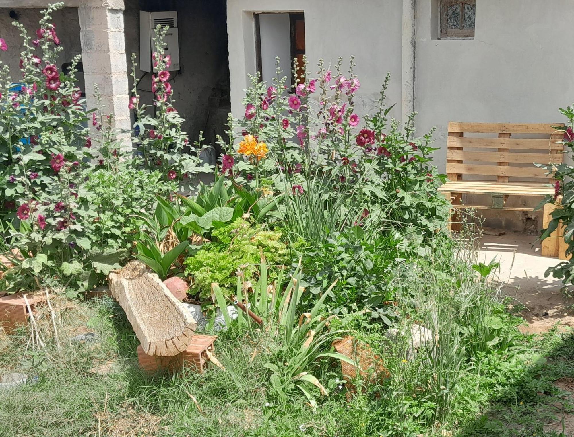 Ferienwohnung Los Malbones Cachí Exterior foto